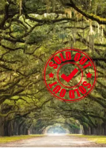 SOLD OUT Forest path